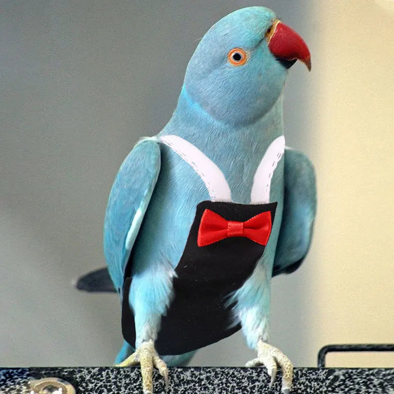 Bird Parrot Diaper with Bowtie Flight Suit Nappy Clothes Parakeet Pigeon Pet Bird Supplies