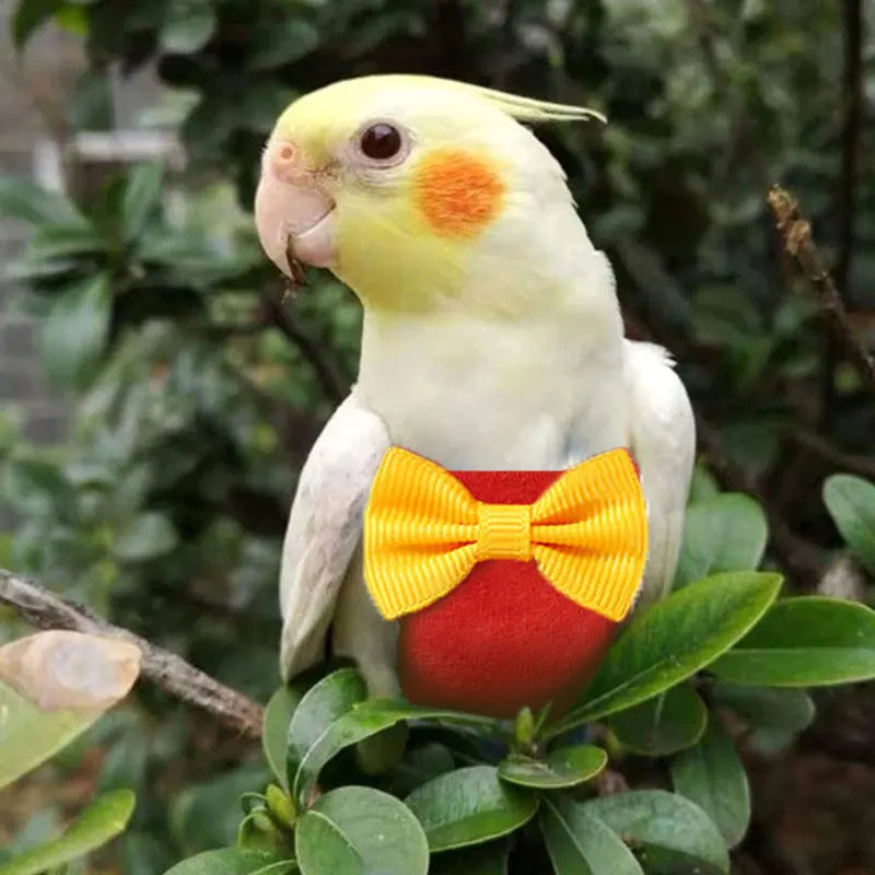 Bird Parrot Diaper with Bowtie Flight Suit Nappy Clothes Parakeet Pigeon Pet Bird Supplies