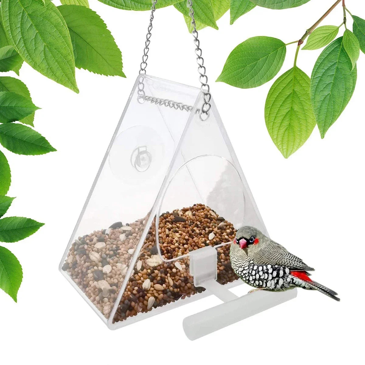 Acrylic Bird Feeder Hanging Seed Feeder Clear Wild Bird Seed Feeder Durable Window View Garden Outdoor Bird Feeding Supplies