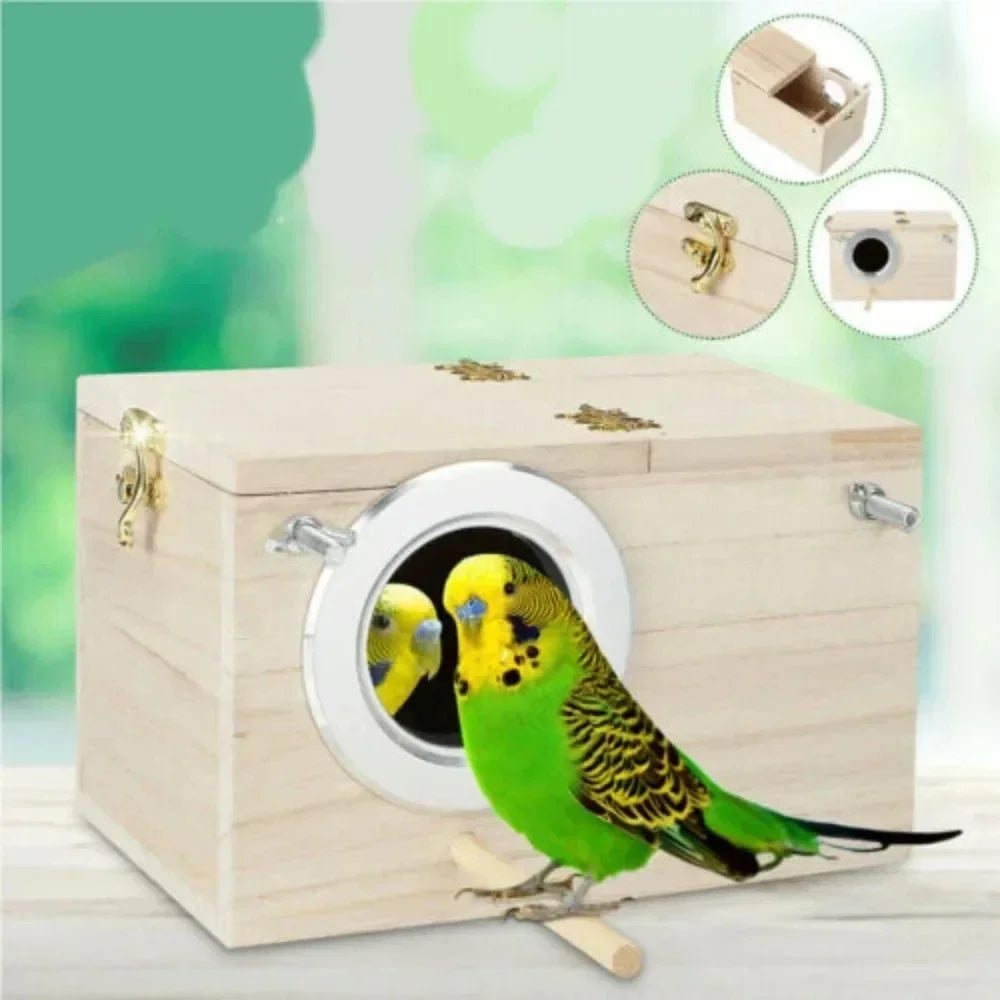 Bird Accessories