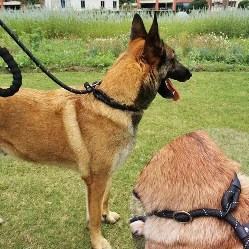 Reflective Pad Big Dog Leash for Training Walking Pet P Chain for Medium Large Dogs Malinois Collie Leashes mascotas Accessories