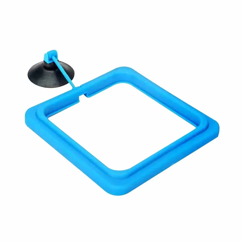 Aquarium Feeding Ring Fish Tank Station Floating Food Tray Feeder New Square Circle Fish Feeder Suction Cup Aquarium Accessories
