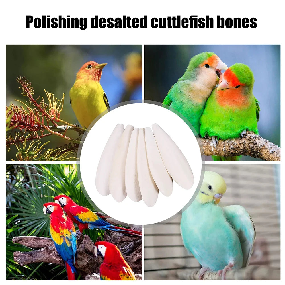 Bone Cuttle Fish Bird Food Pick Stone Pet Parrot Calcium Supplements Chewing Cuttlefish Bone Pet Bird Cage Food Decoration