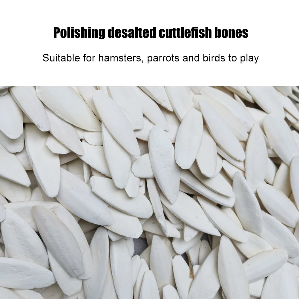 Bone Cuttle Fish Bird Food Pick Stone Pet Parrot Calcium Supplements Chewing Cuttlefish Bone Pet Bird Cage Food Decoration