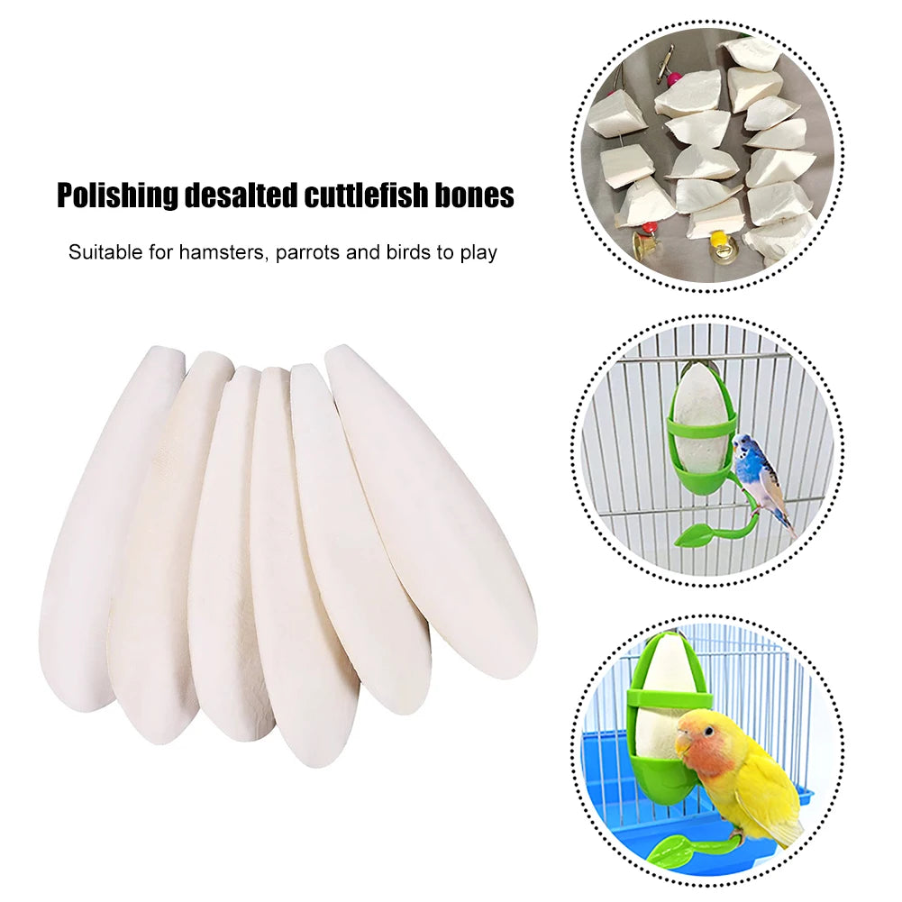 Bone Cuttle Fish Bird Food Pick Stone Pet Parrot Calcium Supplements Chewing Cuttlefish Bone Pet Bird Cage Food Decoration