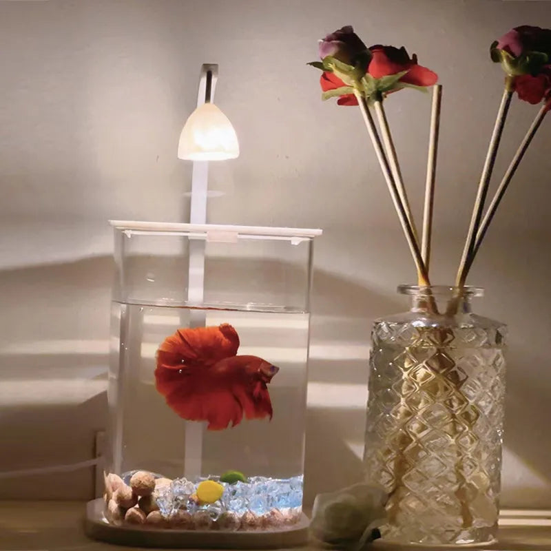 Mini Desktop Glass Aquarium Fish Tank with LED Light For Kids Betta Fish