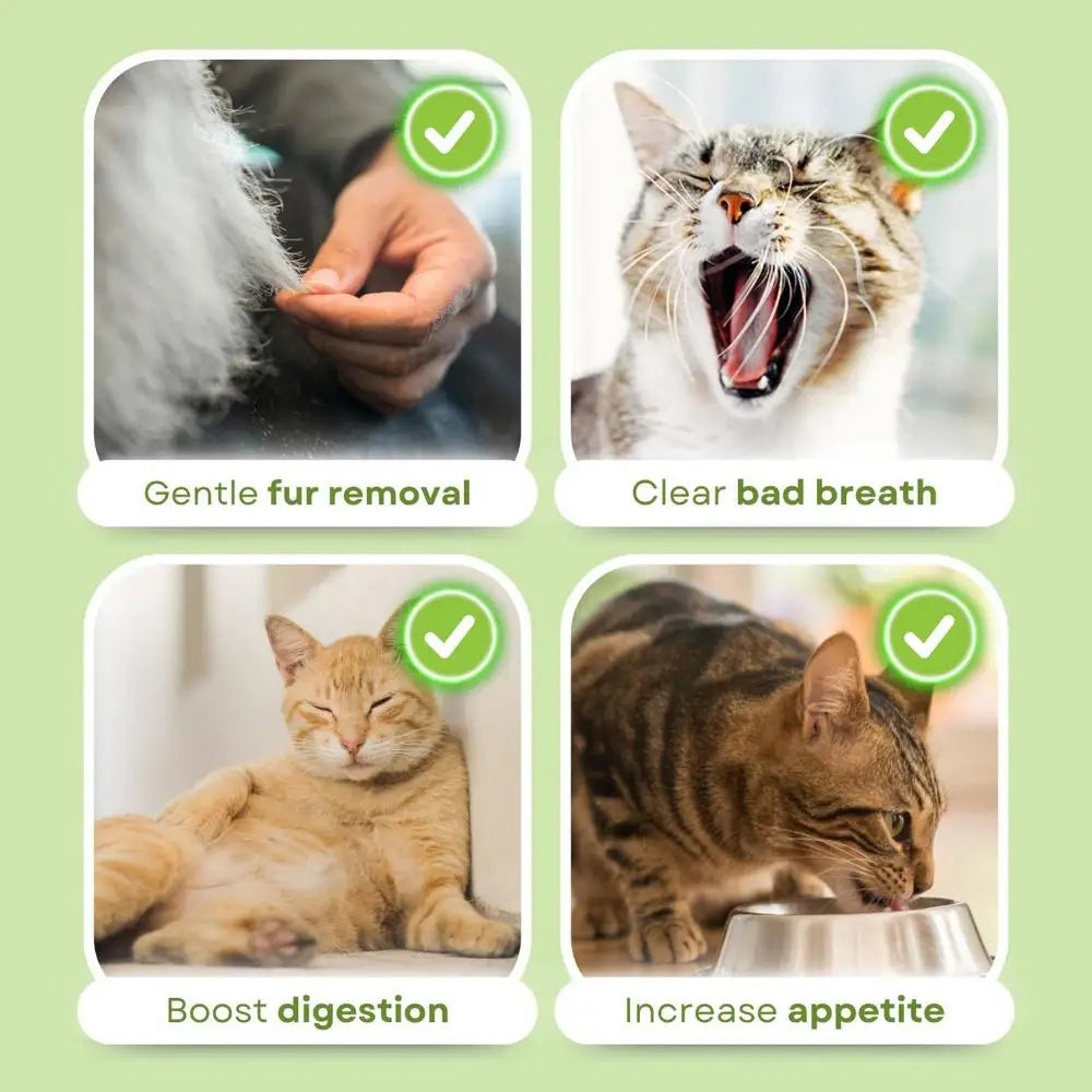 Cat Grass Teeth Stick Kitten Cat Mouth Healthy Chew Toy Pet Snacks For Cat Kitten Cleaning Teeth Hairball Removal