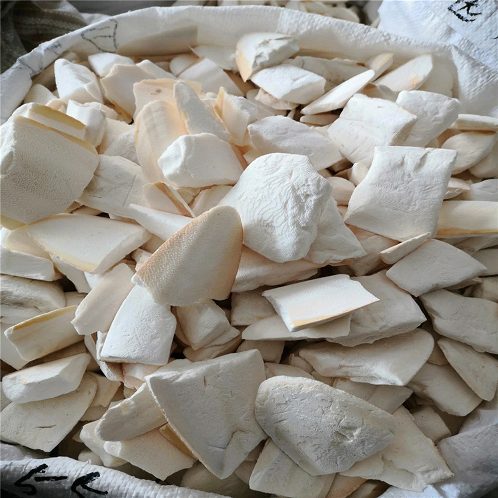 Bone Cuttle Fish Bird Food Pick Stone Pet Parrot Calcium Supplements Chewing Cuttlefish Bone Pet Bird Cage Food Decoration
