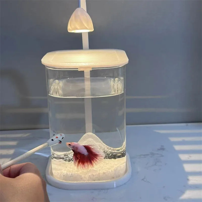 Mini Desktop Glass Aquarium Fish Tank with LED Light For Kids Betta Fish