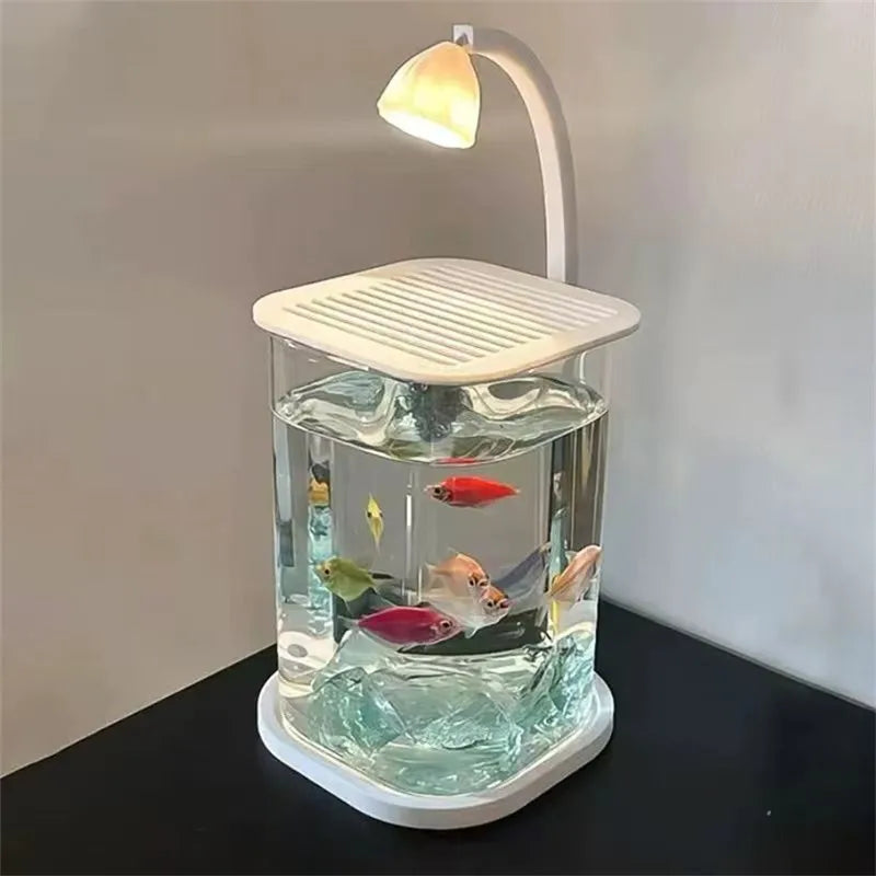 Mini Desktop Glass Aquarium Fish Tank with LED Light For Kids Betta Fish