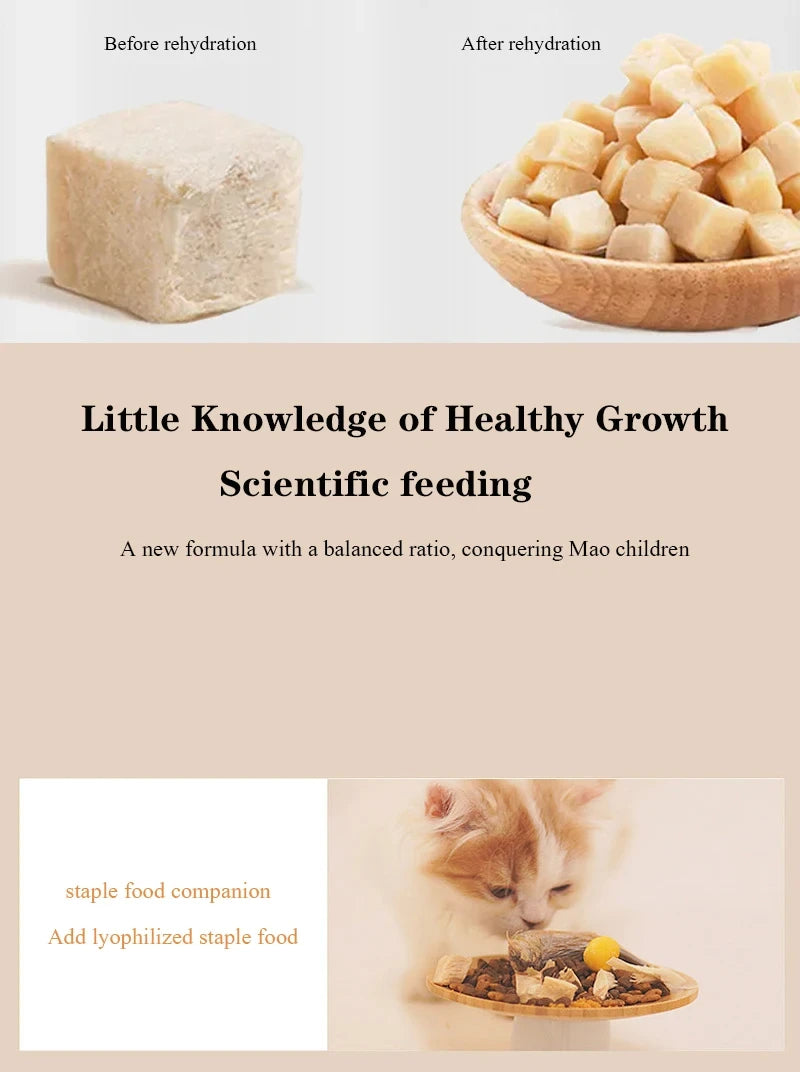 Pet freeze-dried meat snacks chicken beef duck quail chicken small breast 500g dog cat snacks
