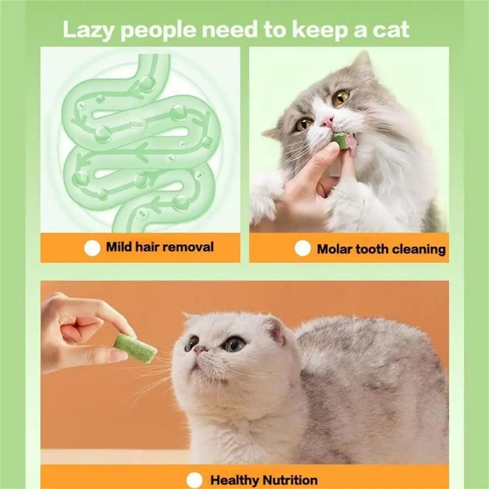 Cat Grass Teeth Stick Kitten Cat Mouth Healthy Chew Toy Pet Snacks For Cat Kitten Cleaning Teeth Hairball Removal