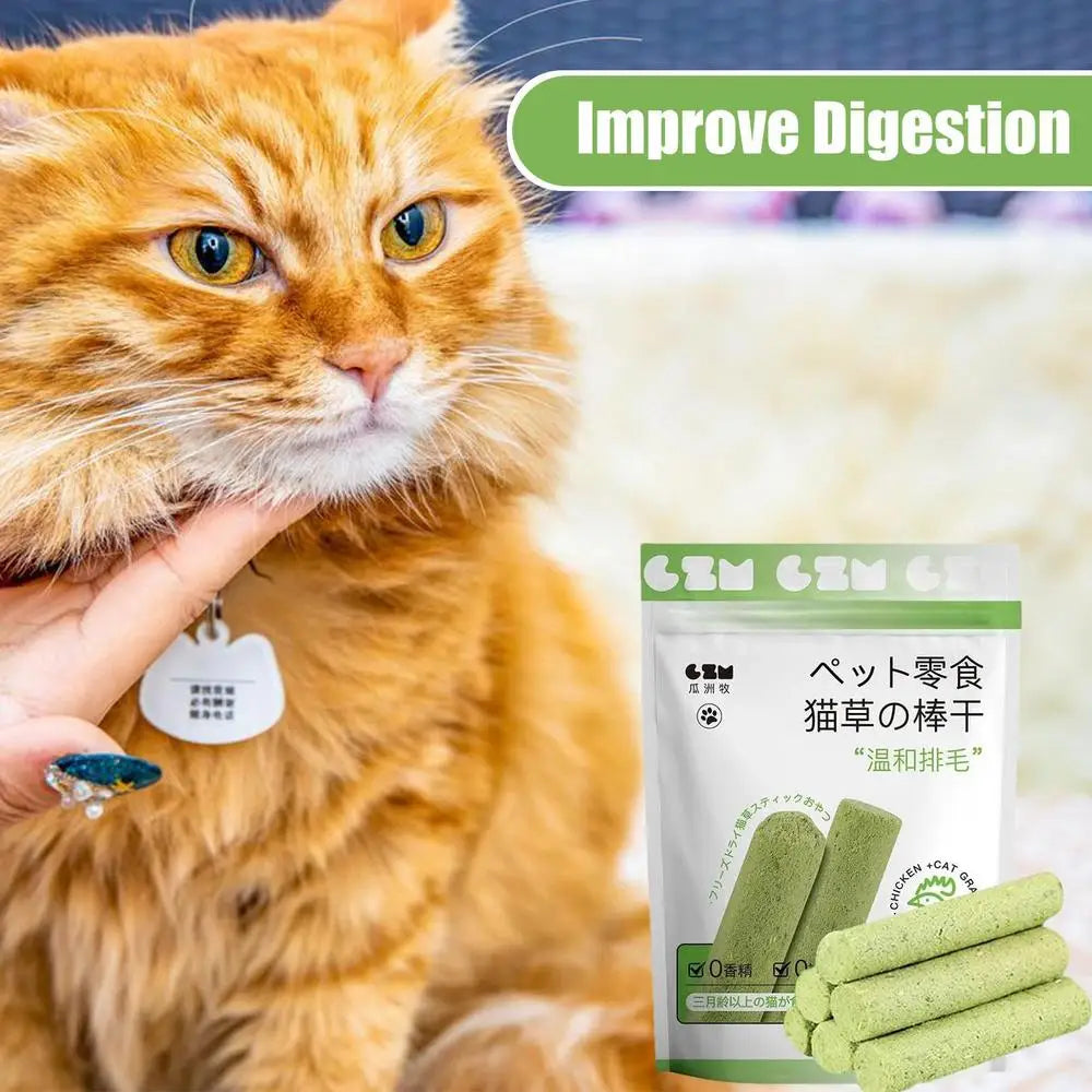 Cat Grass Teeth Stick Kitten Cat Mouth Healthy Chew Toy Pet Snacks For Cat Kitten Cleaning Teeth Hairball Removal