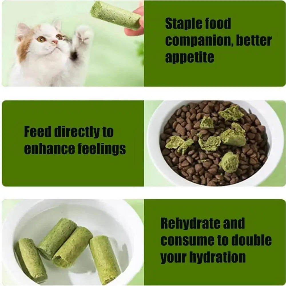 Cat Grass Teeth Stick Kitten Cat Mouth Healthy Chew Toy Pet Snacks For Cat Kitten Cleaning Teeth Hairball Removal